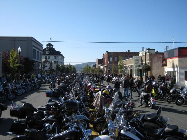 Kite Festival & Oyster Run 09 006