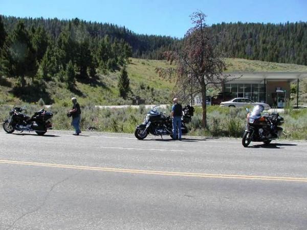 Yellowstone - Tourists will stop anywhere to get pix of a buffalo or any other wildlife.