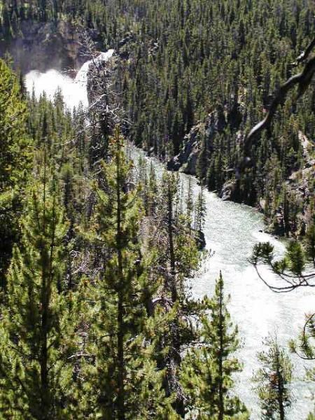 Yellowstone - Upper falls of the Yellowstone River.