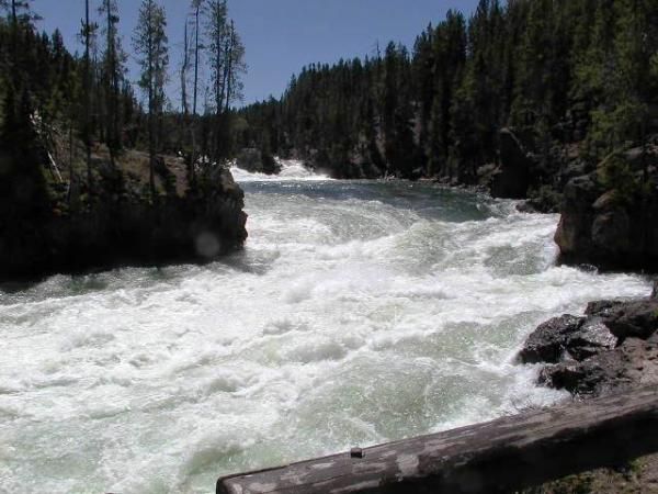 Yellowstone - Upper falls of the Yellowstone River.