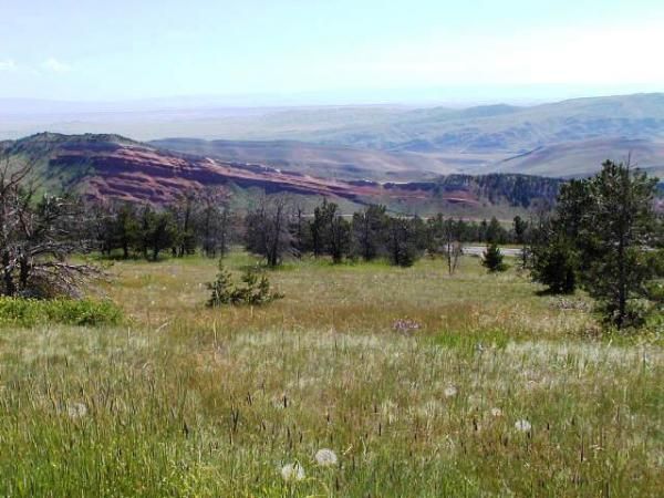 Chief Joseph Highway - panorama of striking red bluff.